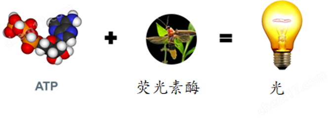 工业废水中毒预警设备