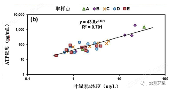 藻类微生物活性检测仪
