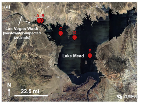 藻类微生物活性检测仪
